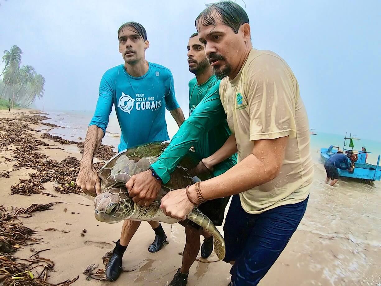 linha de pesquisa 04